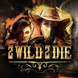 2 Wild 2 Die slot visual from Hacksaw Gaming available on wintinoo.com