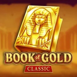 game logo by Playson on wintinoo.com