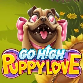 game logo by RubyPlay on wintinoo.com
