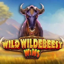 Play Wild Wildebeest Wins slot by Pragmatic Play on wintinoo.com